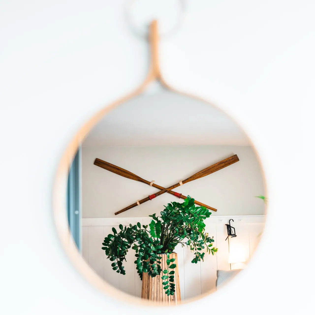 Mirror with a plant in a pot.