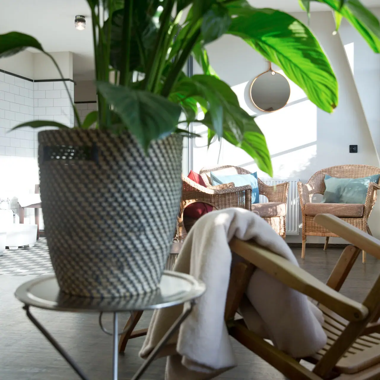 A houseplant in a room with wicker armchairs and a deckchair.
